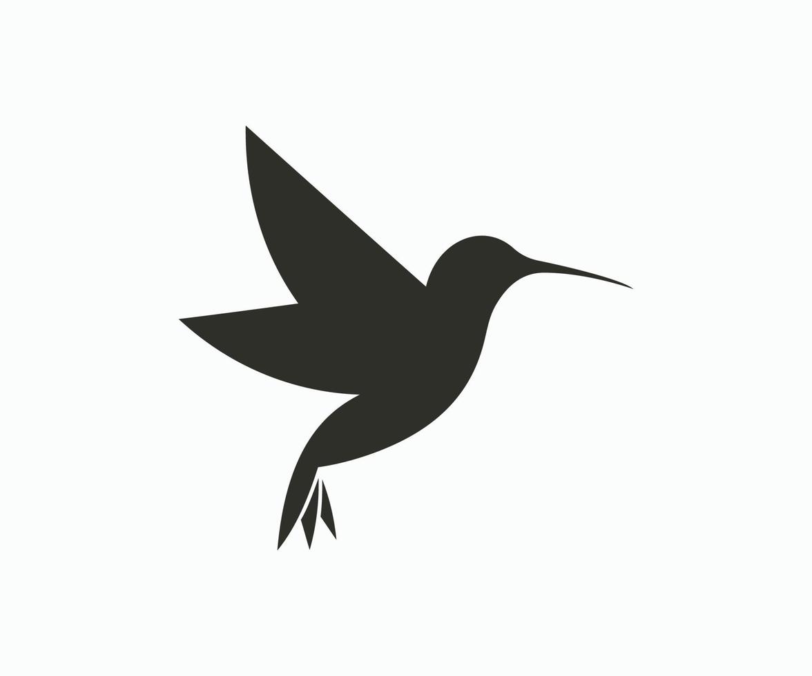 Hummingbird logo design icon vector template.