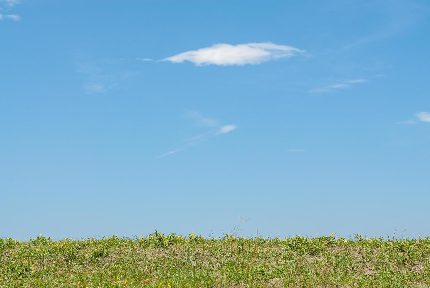 fondo de cielo y hierba foto