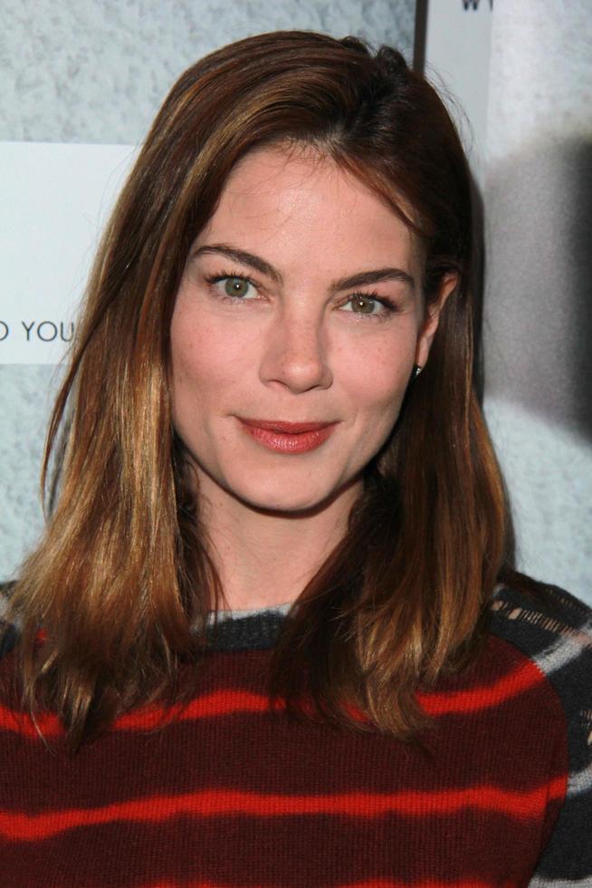 LOS ANGELES, FEB 11 - Michelle Monaghan at the That Which I Love Destroys Me Screening at a Los Angeles Film School on February 11, 2015 in Los Angeles, CA photo