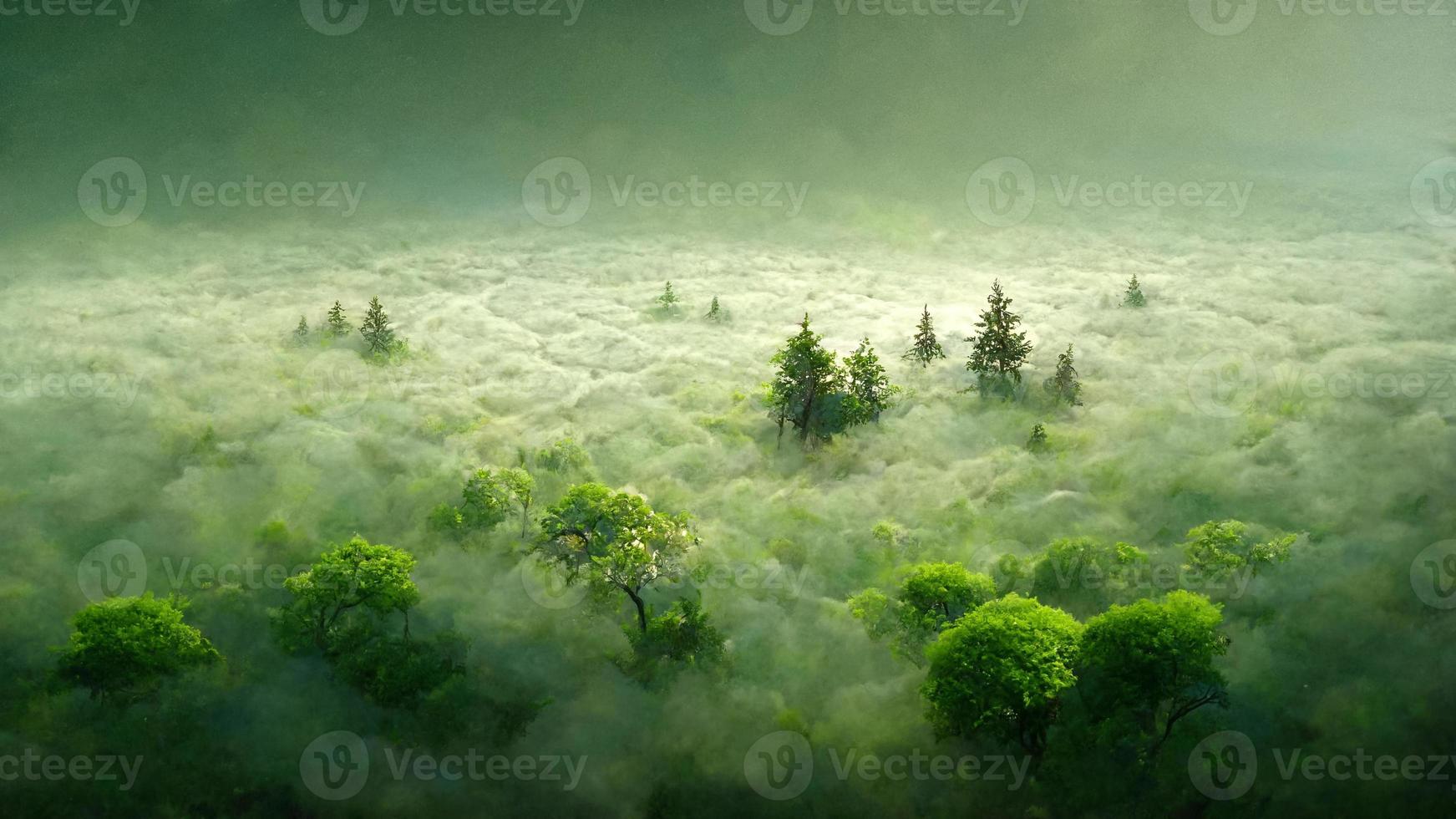 Tropical green forest background with fog. 3D Illustration. photo