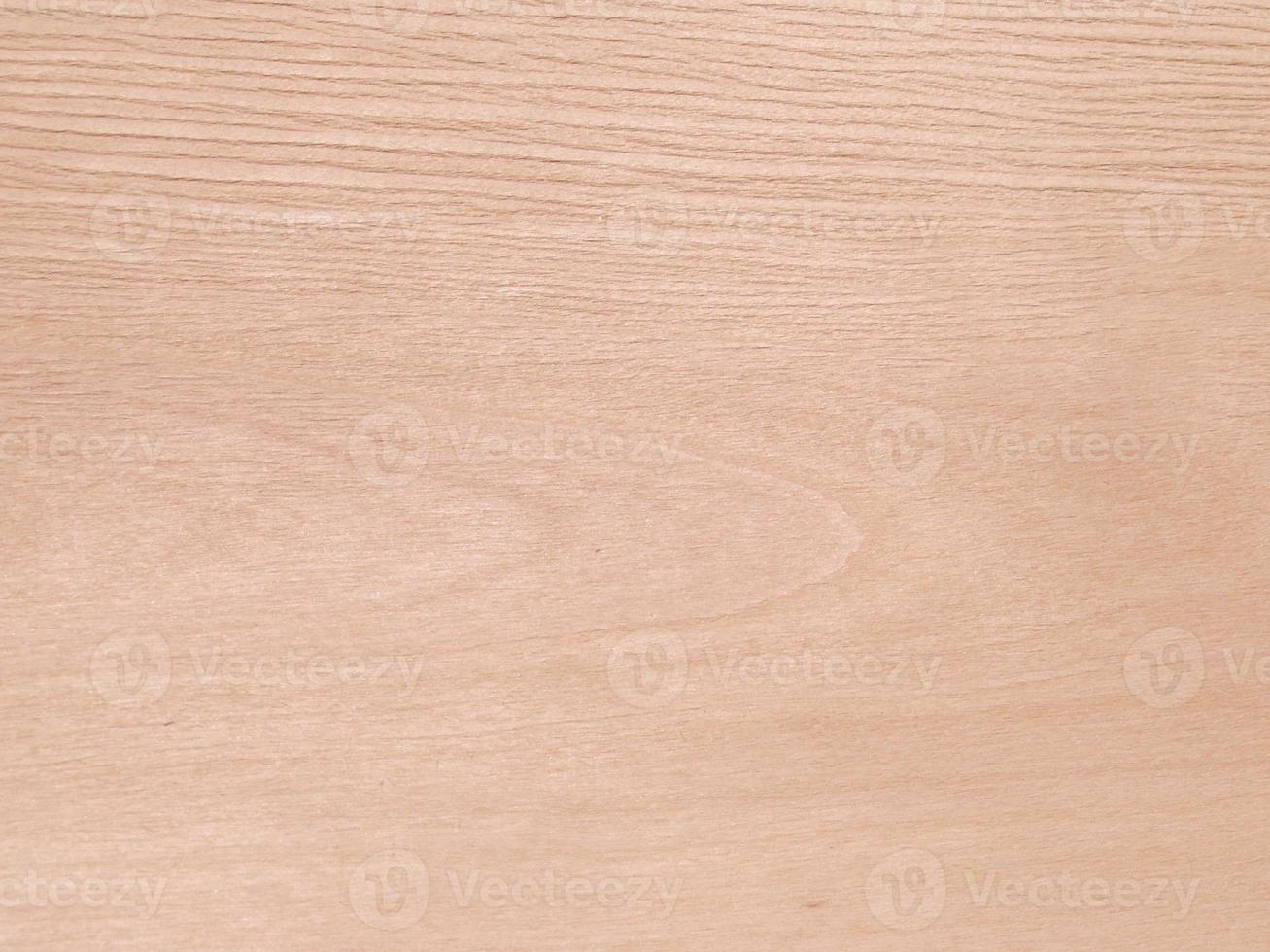 Tree structure background photo