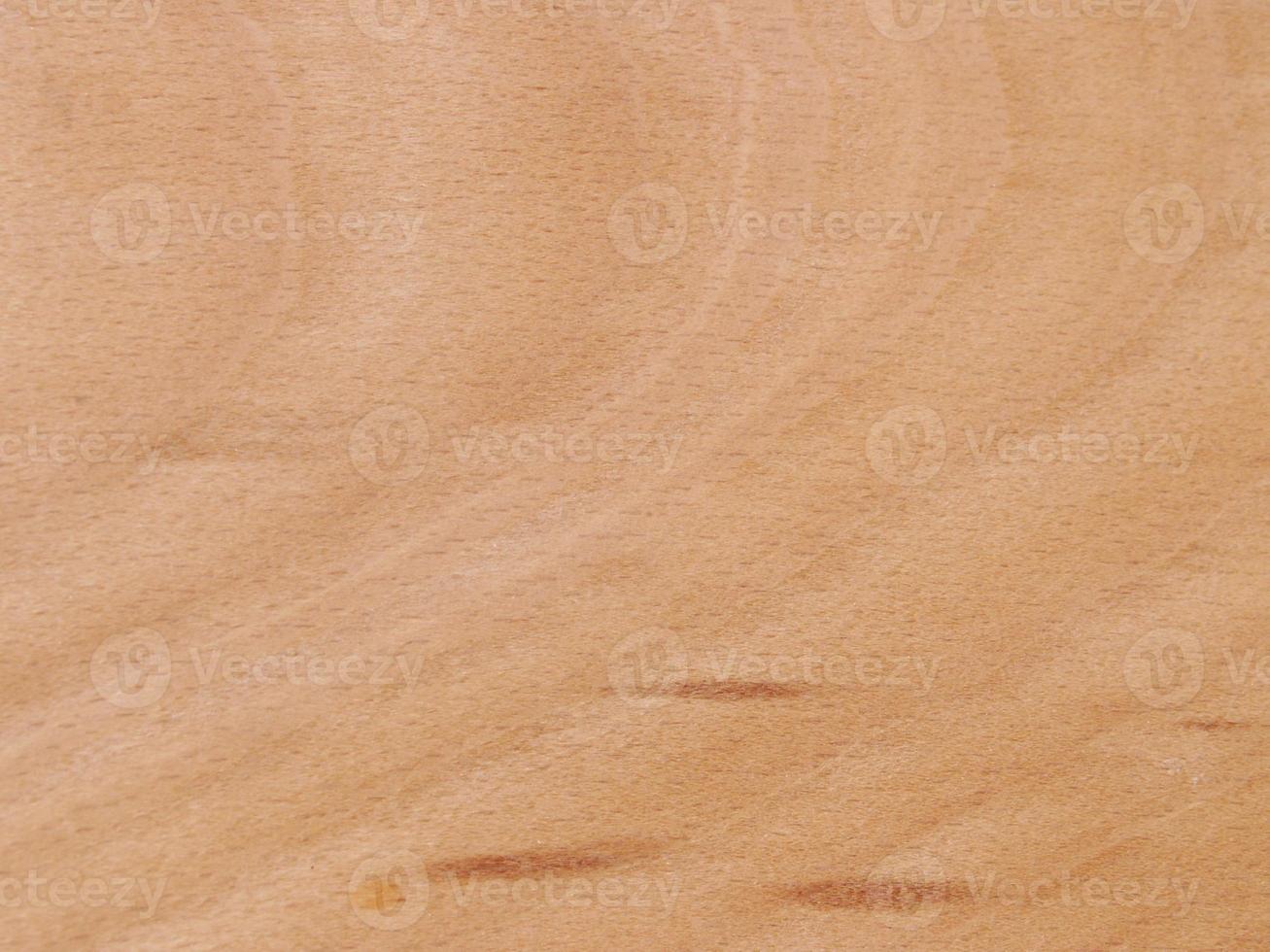 Tree structure background photo