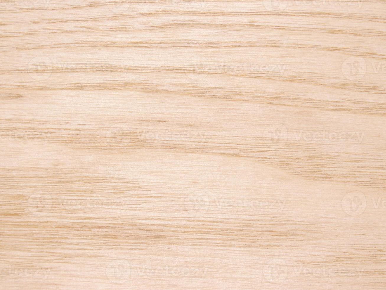 Tree structure background photo