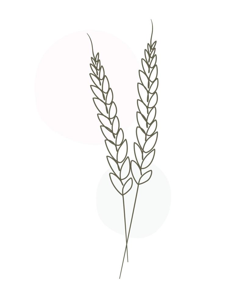 Wheat sheaf one line art drawing 10634335 Vector Art at Vecteezy
