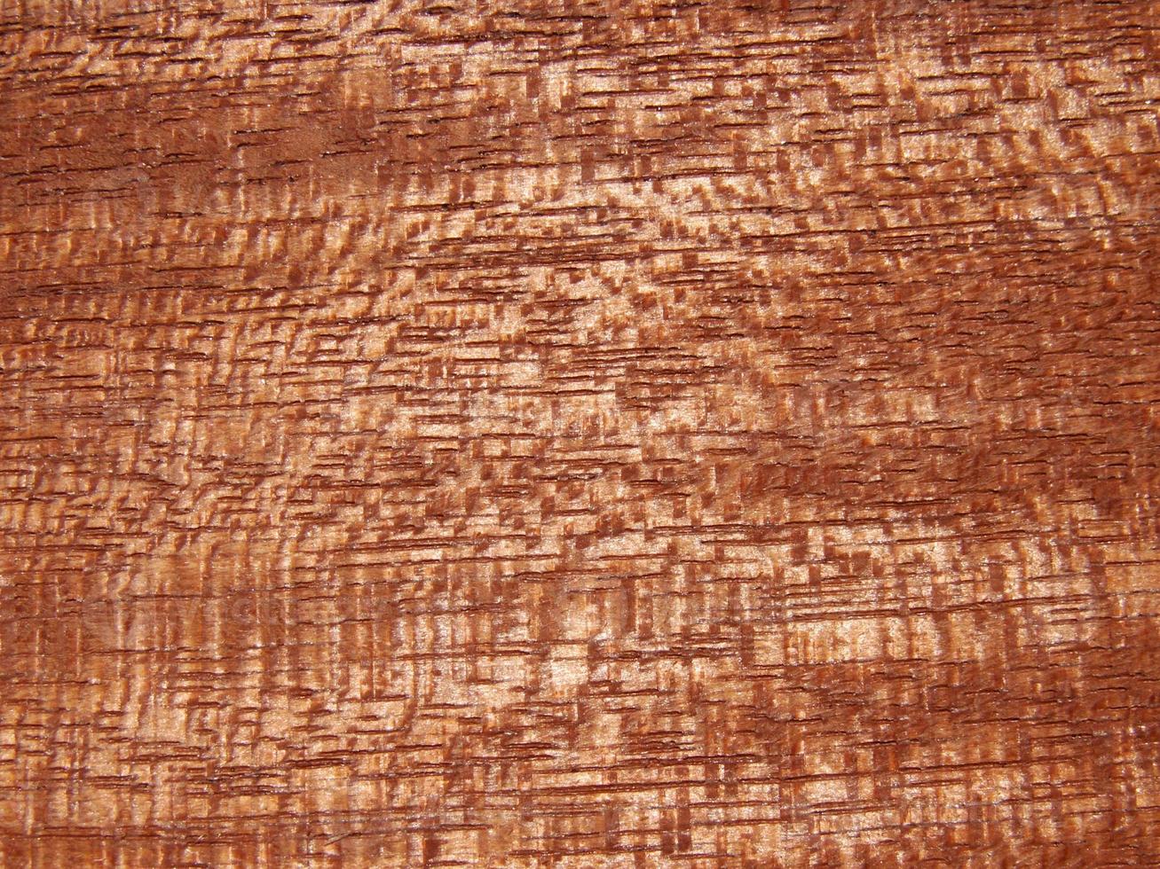 Tree structure background photo