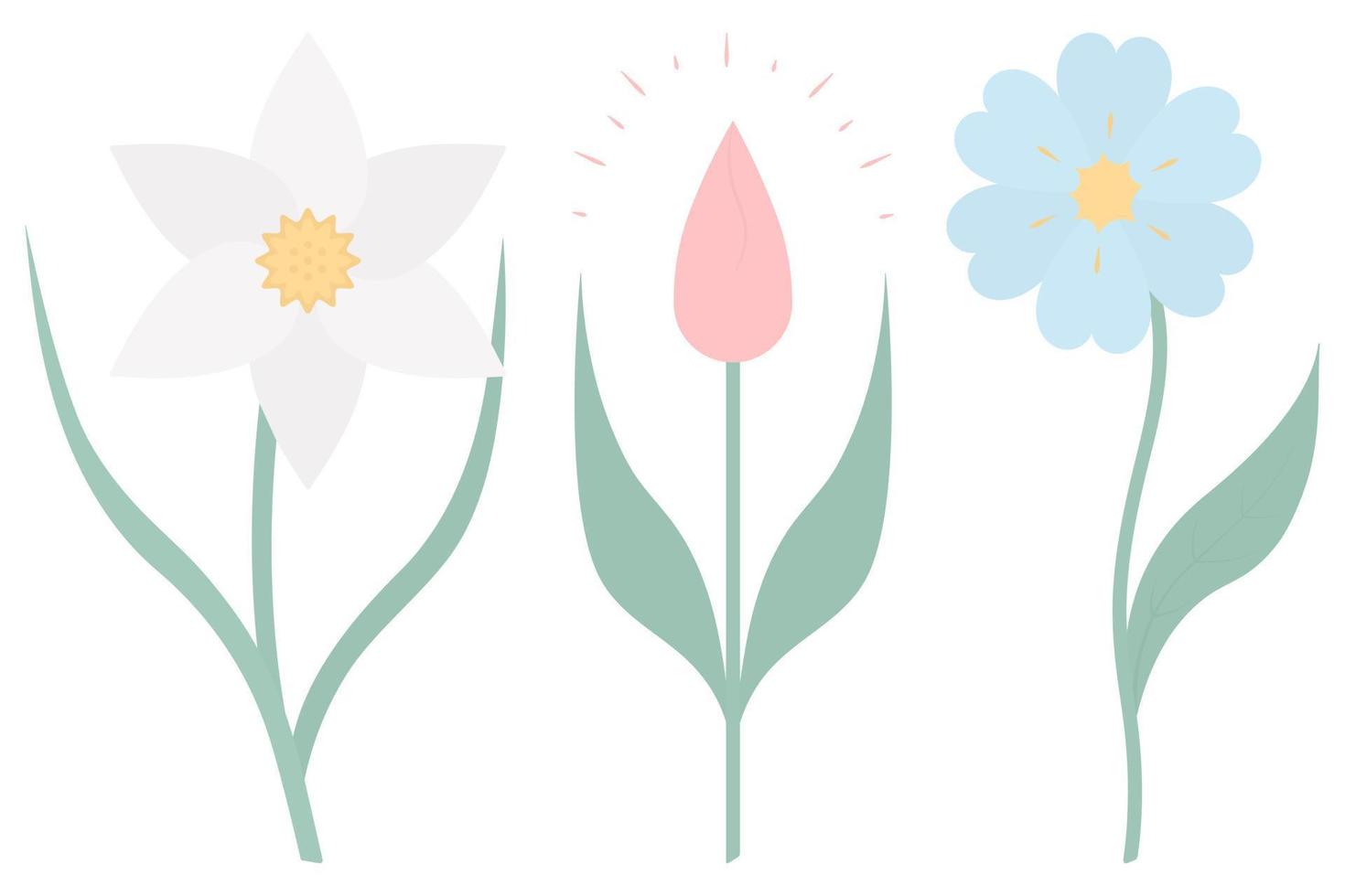 Narcissus, tulip, cornflower, set of cute flowers with green leaves in flat style vector