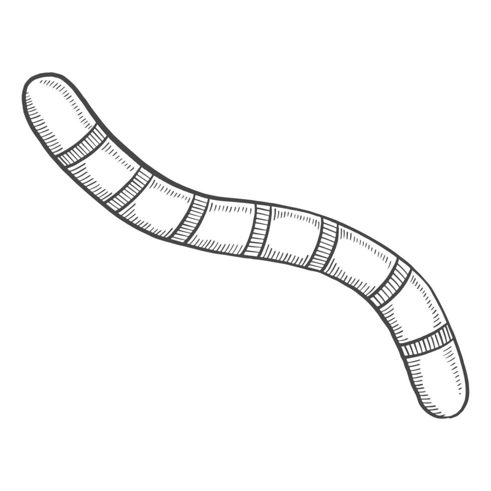 señuelo de gusano de pesca boceto dibujado a mano de garabato aislado con estilo de contorno vector