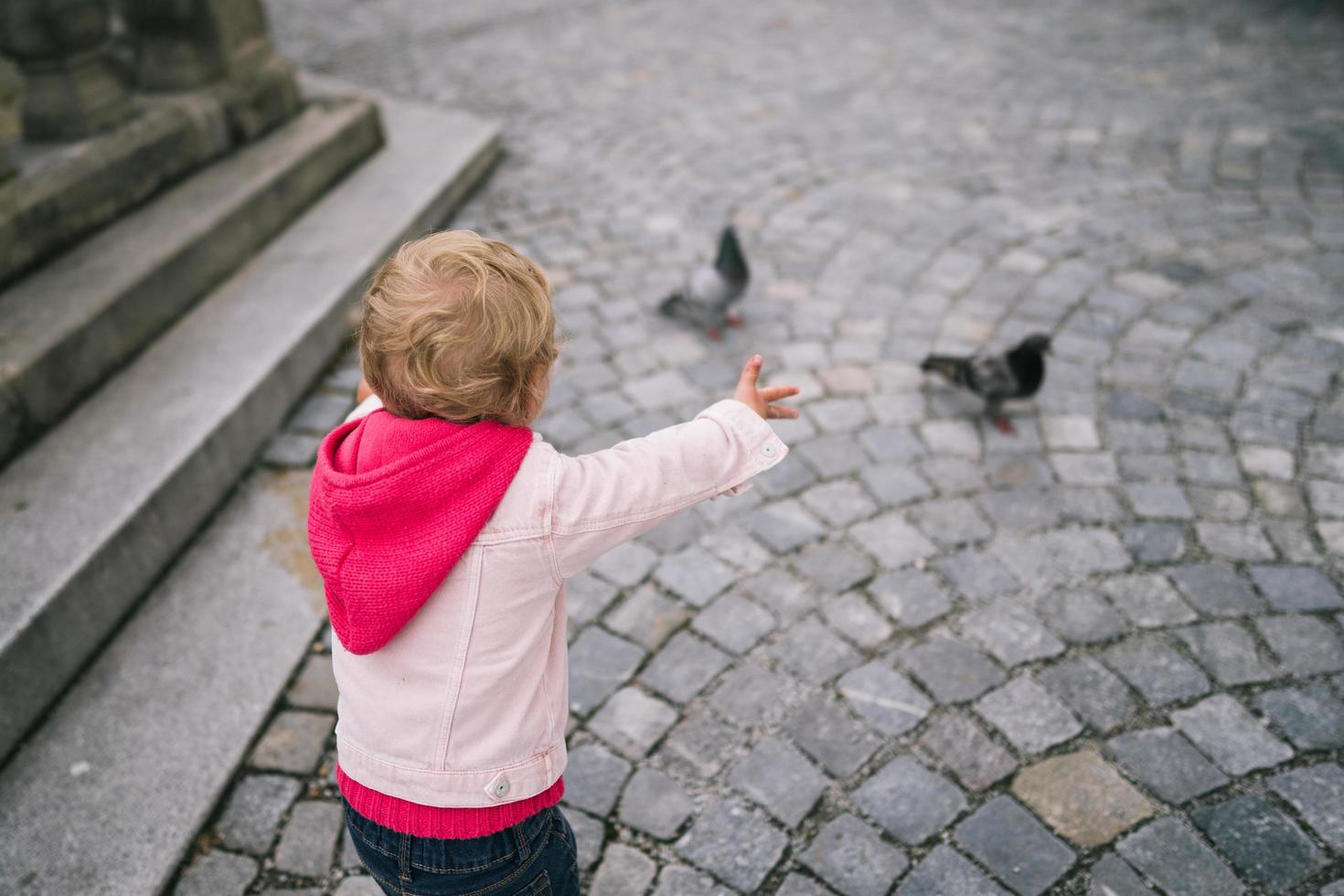 Little Girl Catches Pidgeons photo