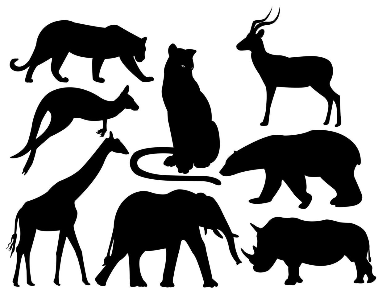 wildlife animals on white background vector