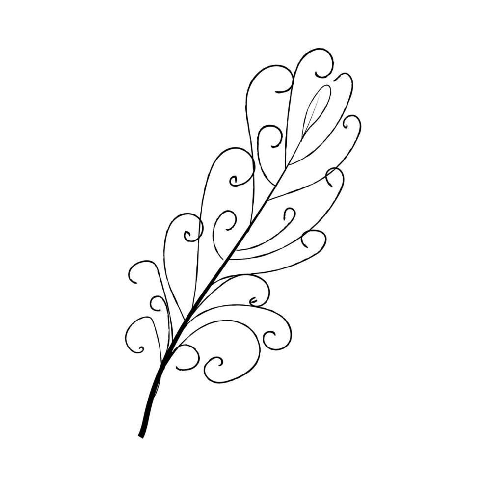 outline bird feather vector