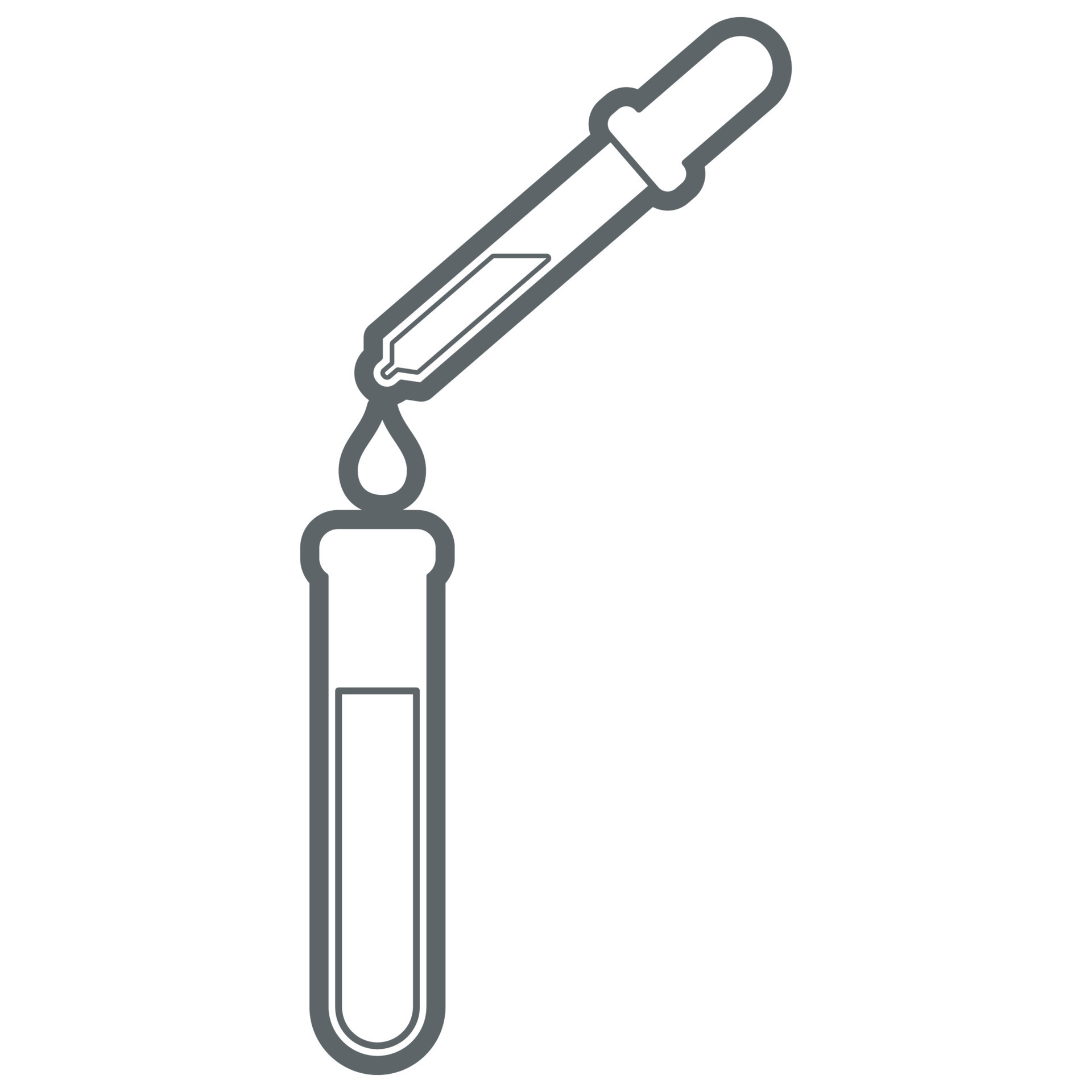 Science Laboratory Equipment. Test Tube and Dropper. 10638936 Vector