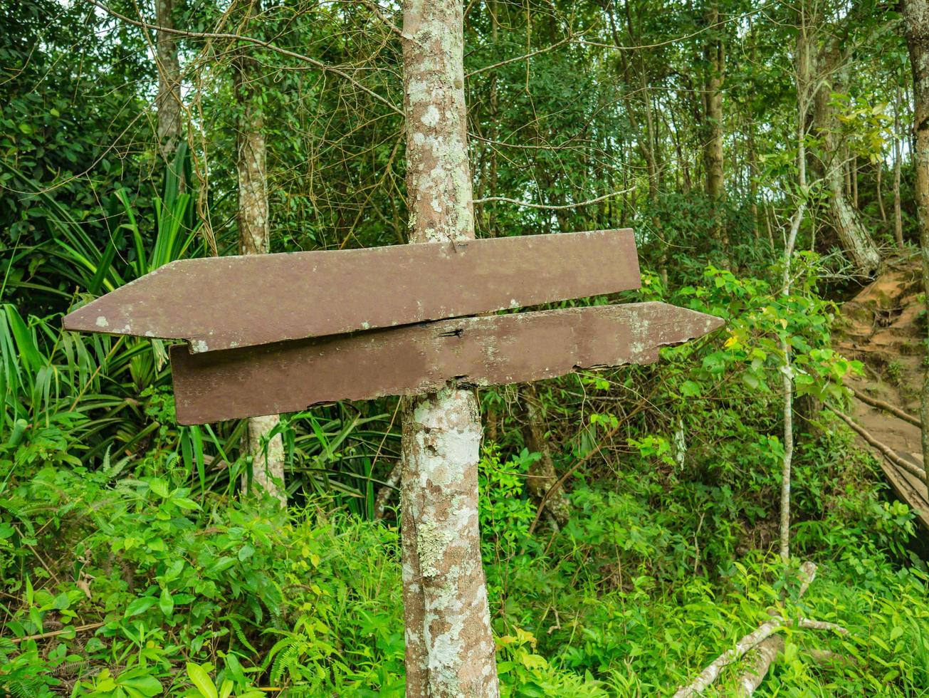 Guide Post in Khao Luang mountain in Ramkhamhaeng National Park,Sukhothai province Thailand photo