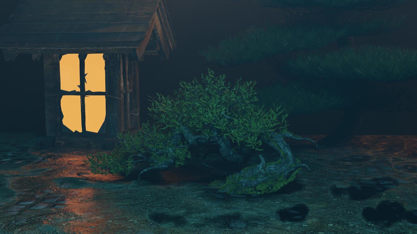 Small house in Bonsai garden at night, Night view in beautiful nature garden photo