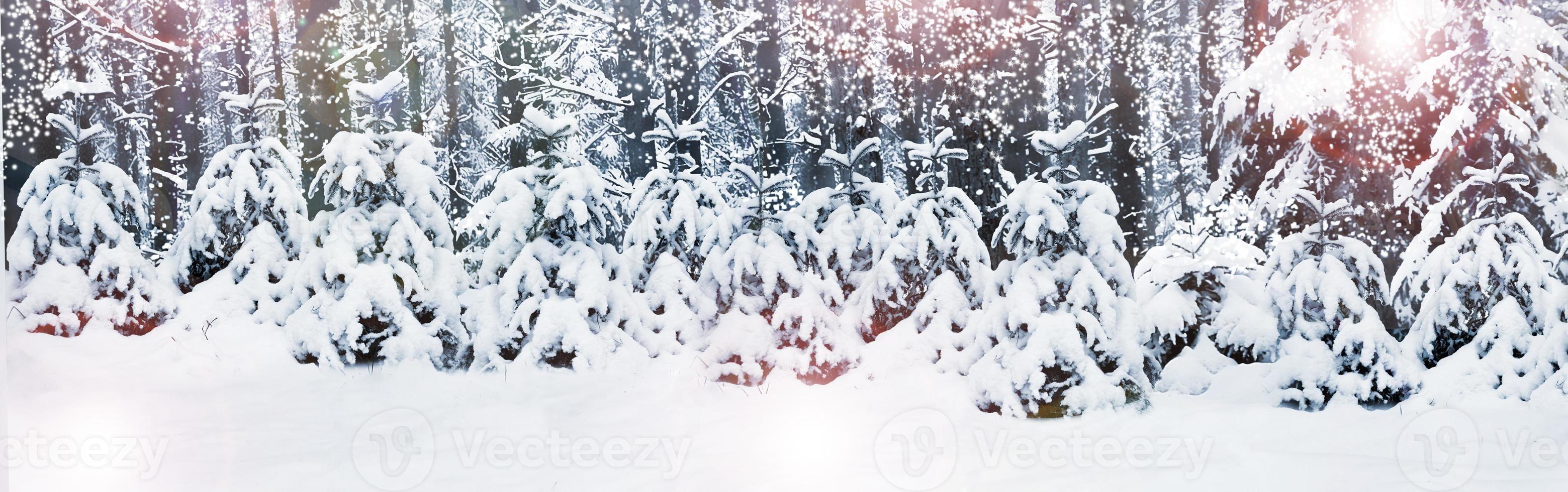 Winter. Snowfall. Christmas card. photo