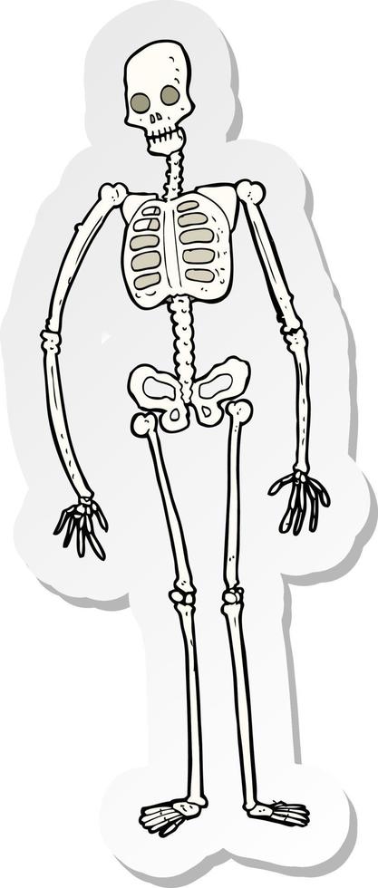 Skeleton Cartoon Drawing With Small Hands, Skeleton Drawing, Car Drawing,  Cartoon Drawing PNG Transparent Image and Clipart for Free Download