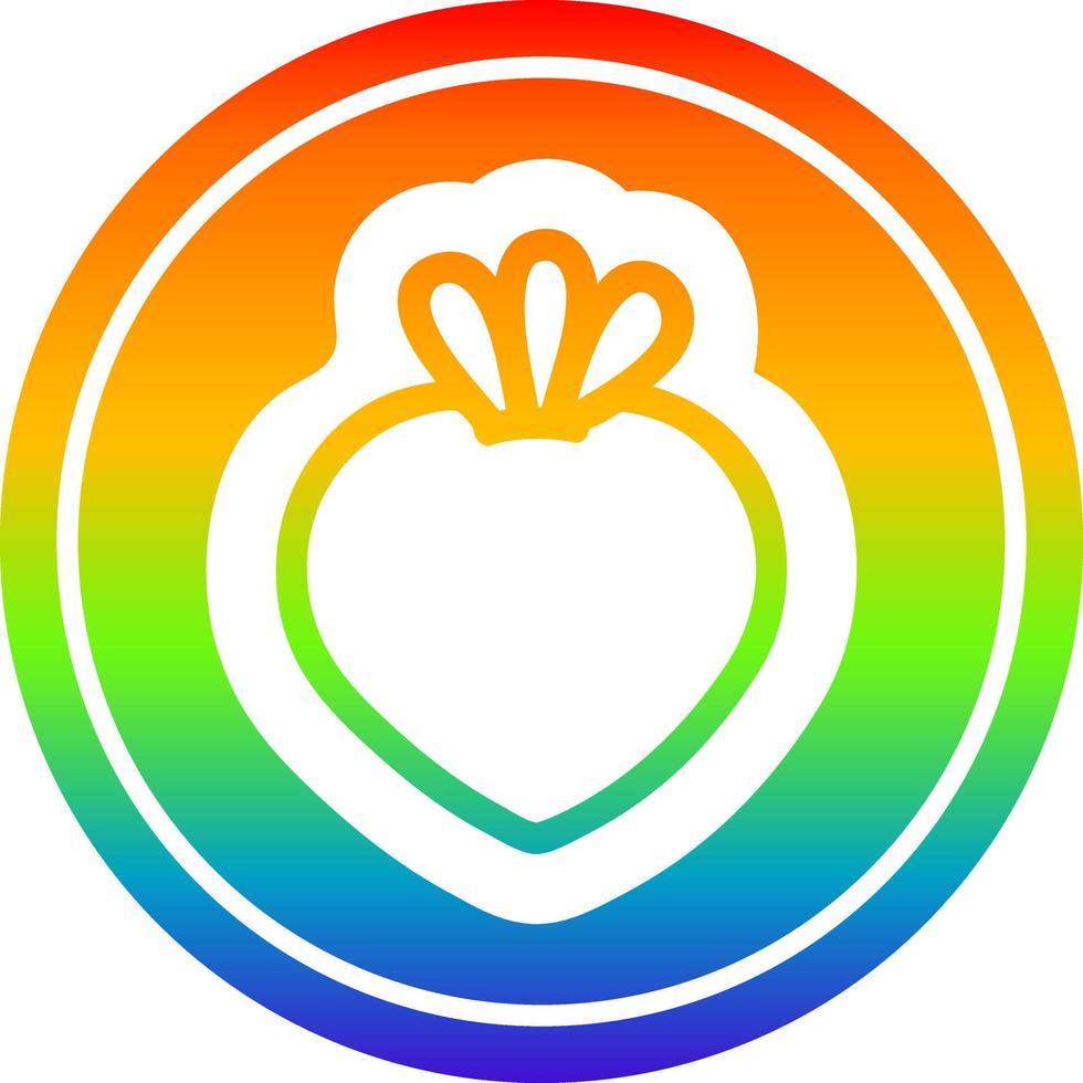 fresh fruit circular in rainbow spectrum vector