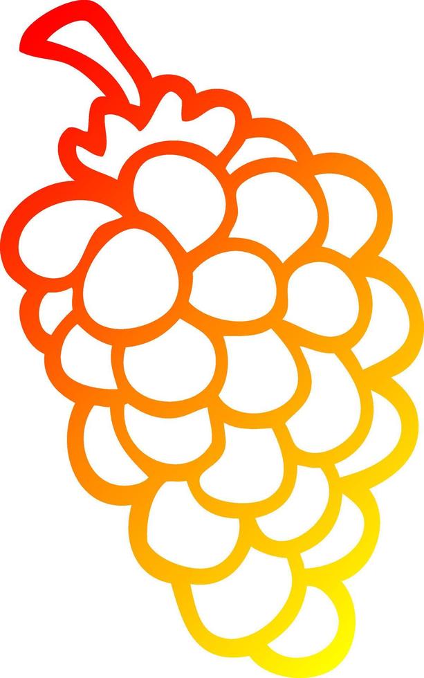 warm gradient line drawing cartoon bunch of grapes vector