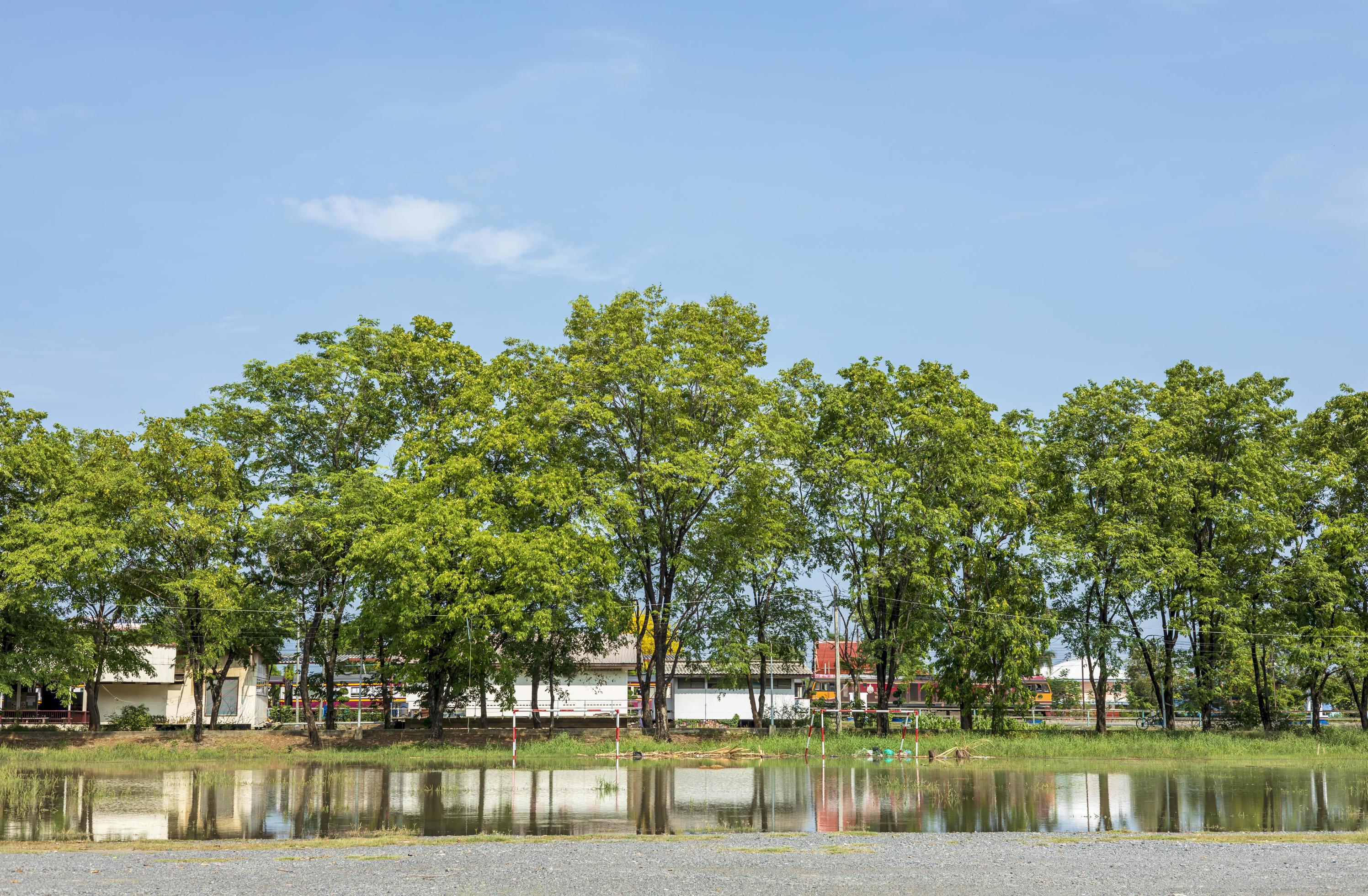 Is Your Property Affected?  Understanding State Water Rows - bk8zt20