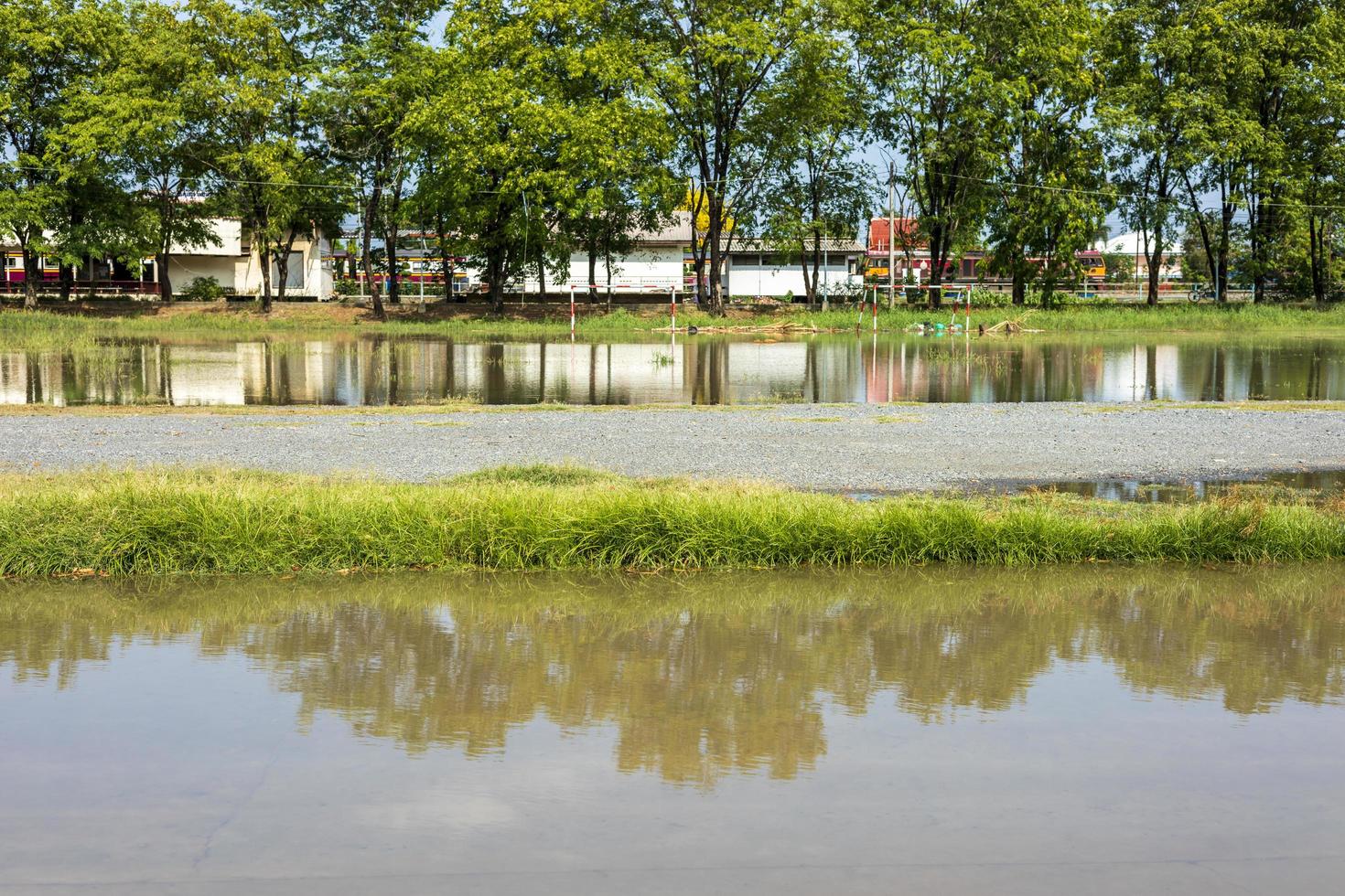 A low angle view, reflections of water, rows of trees on slate stone ground near buildings. photo