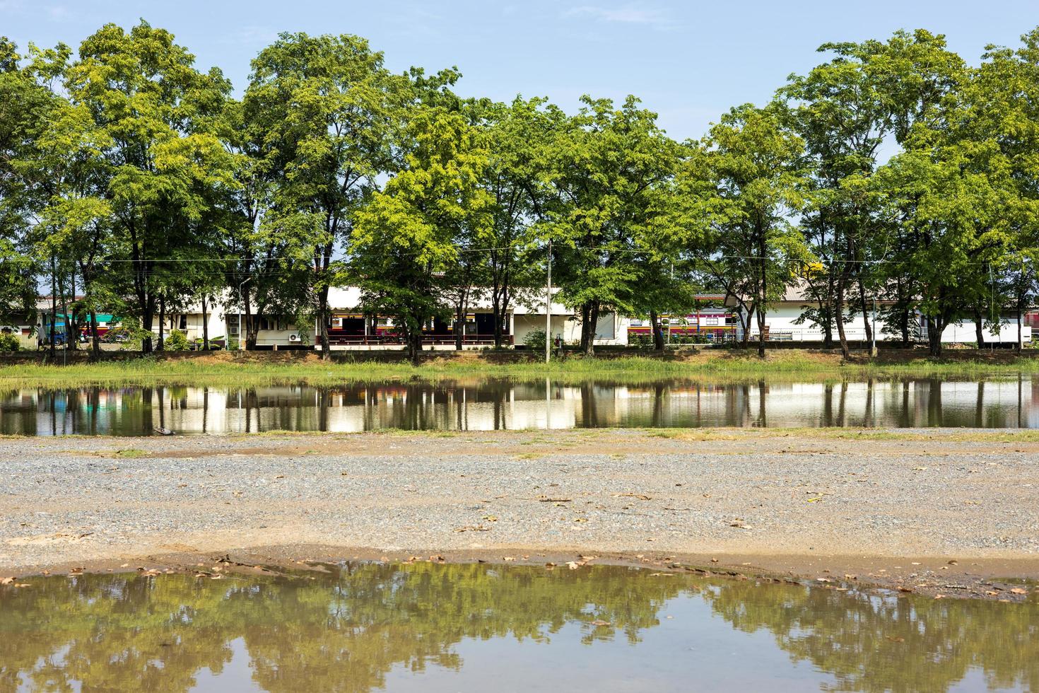 A low angle view, reflections of water, rows of trees on slate stone ground near buildings. photo