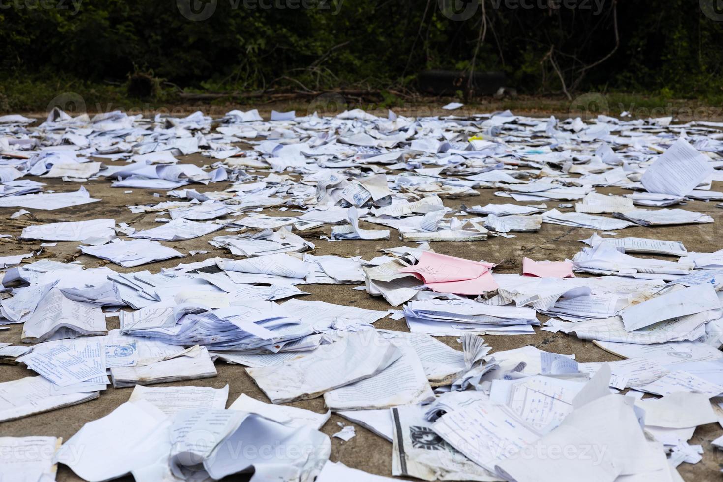 Scraps of old square paper from various notebooks are scattered on the concrete floor near the bushes to dry. photo