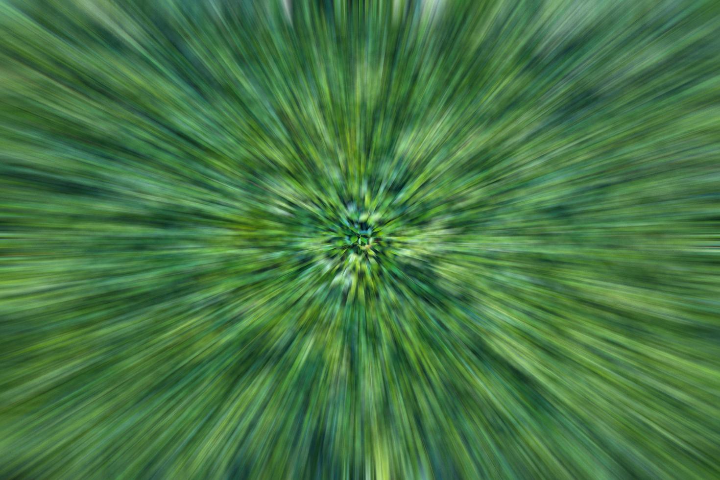 The abstract background radial blurs a cluster of many brilliant green leaves. photo