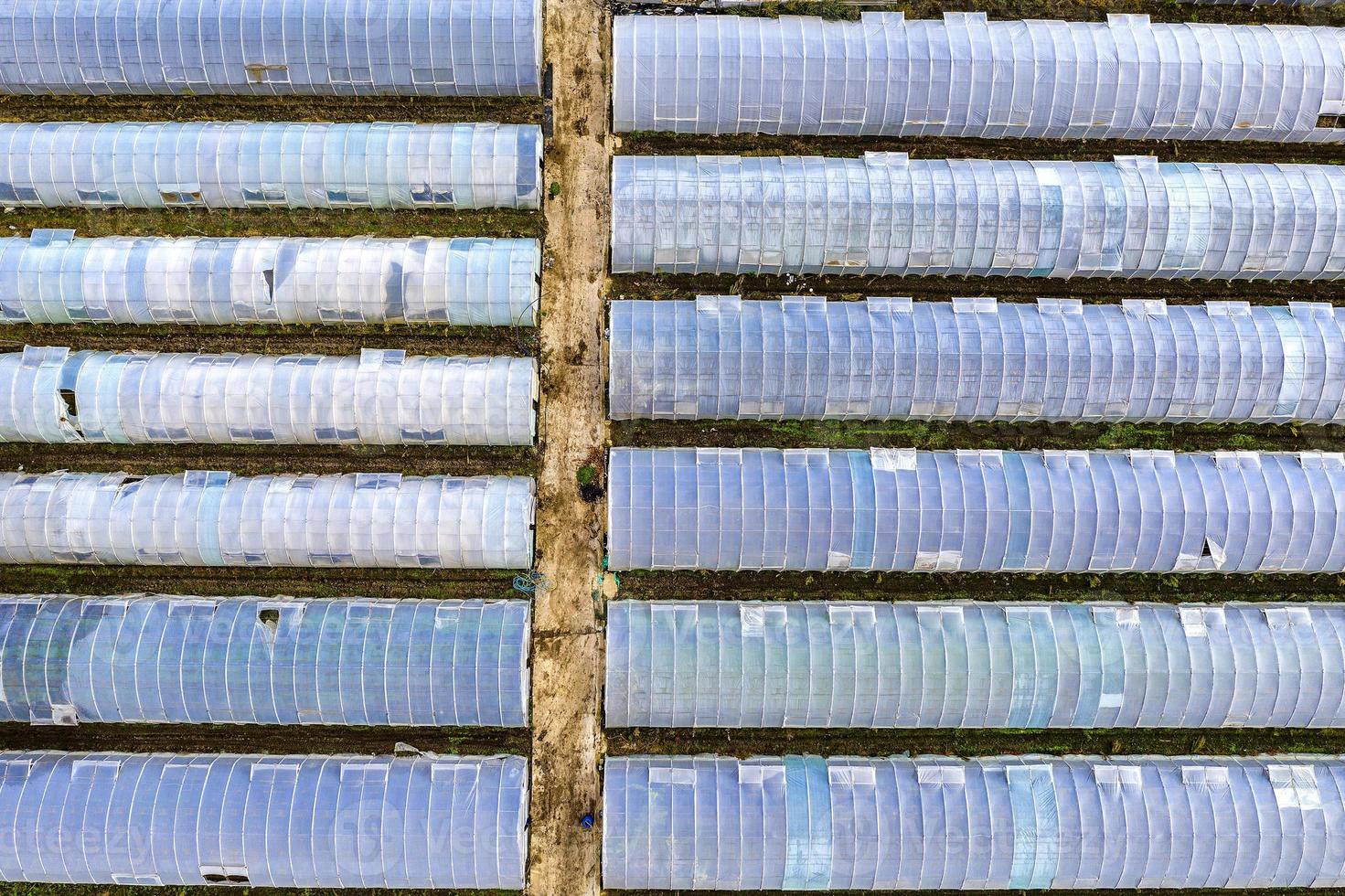 Aerial top view of many greenhouses. photo