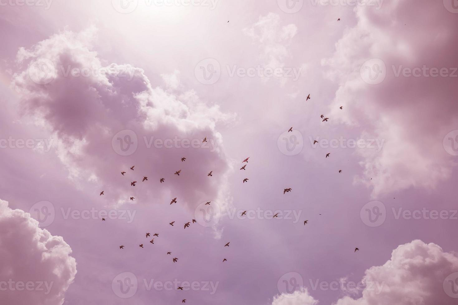 una bandada de pájaros volando hacia el sur contra un cielo nublado foto