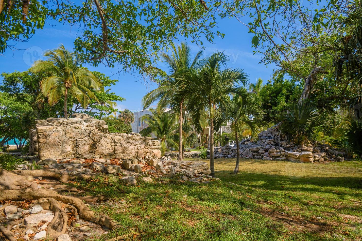 ruinas mayas de playacar en el parque forestal en playa del carmen, yucatán, méxico foto