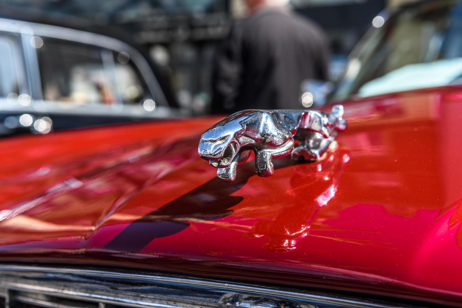 GERMANY, LIMBURG - APR 2017 JAGUAR SYMBOL red JAGUAR XJ COUPE XJ-C, XJ6-C, XJ12-C 1975 in Limburg an der Lahn, Hesse, Germany photo