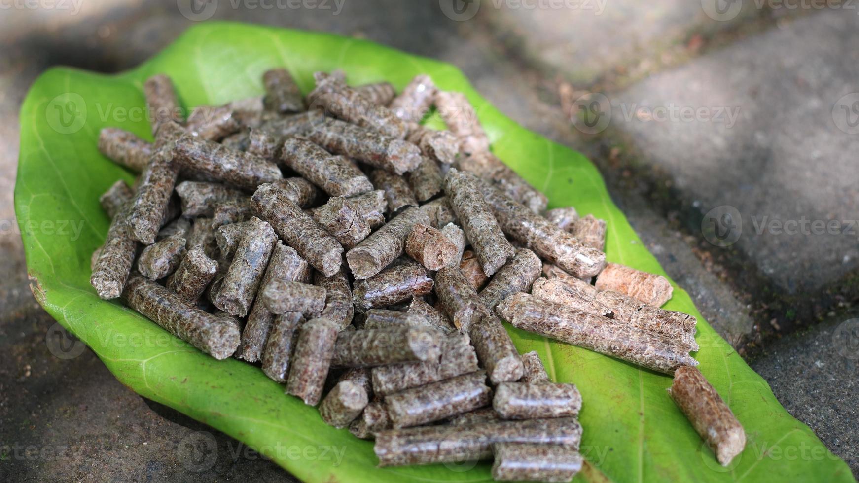 pellets de madera apilados sobre hojas ligeramente secas foto