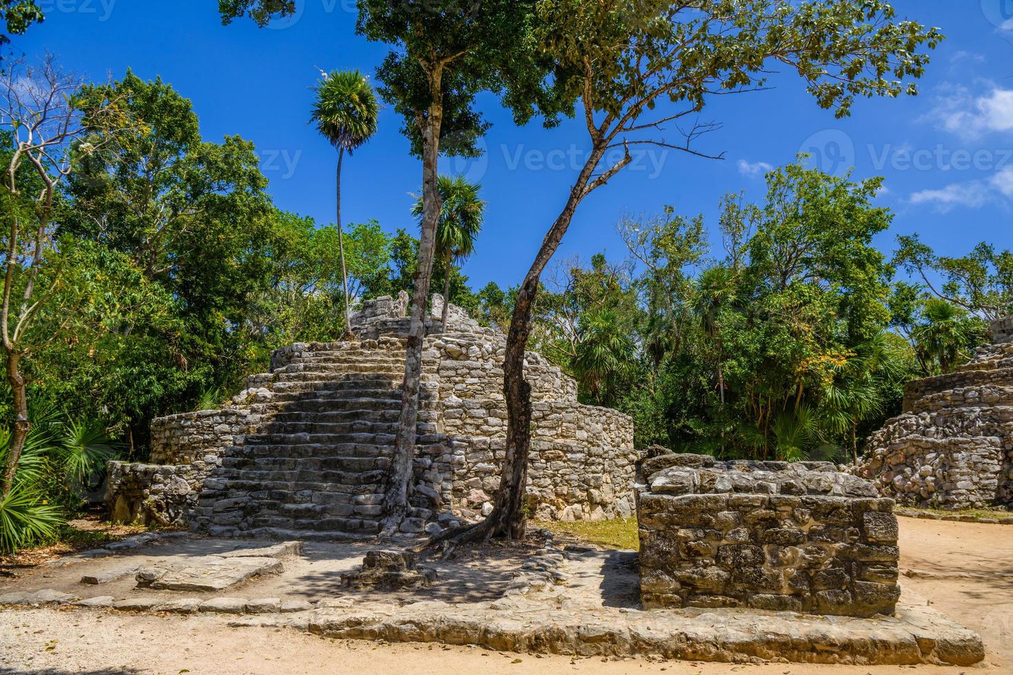 Mayan ruins in shadow of trees in jungle tropical forest Playa del Carmen, Riviera Maya, Yu atan, Mexico photo