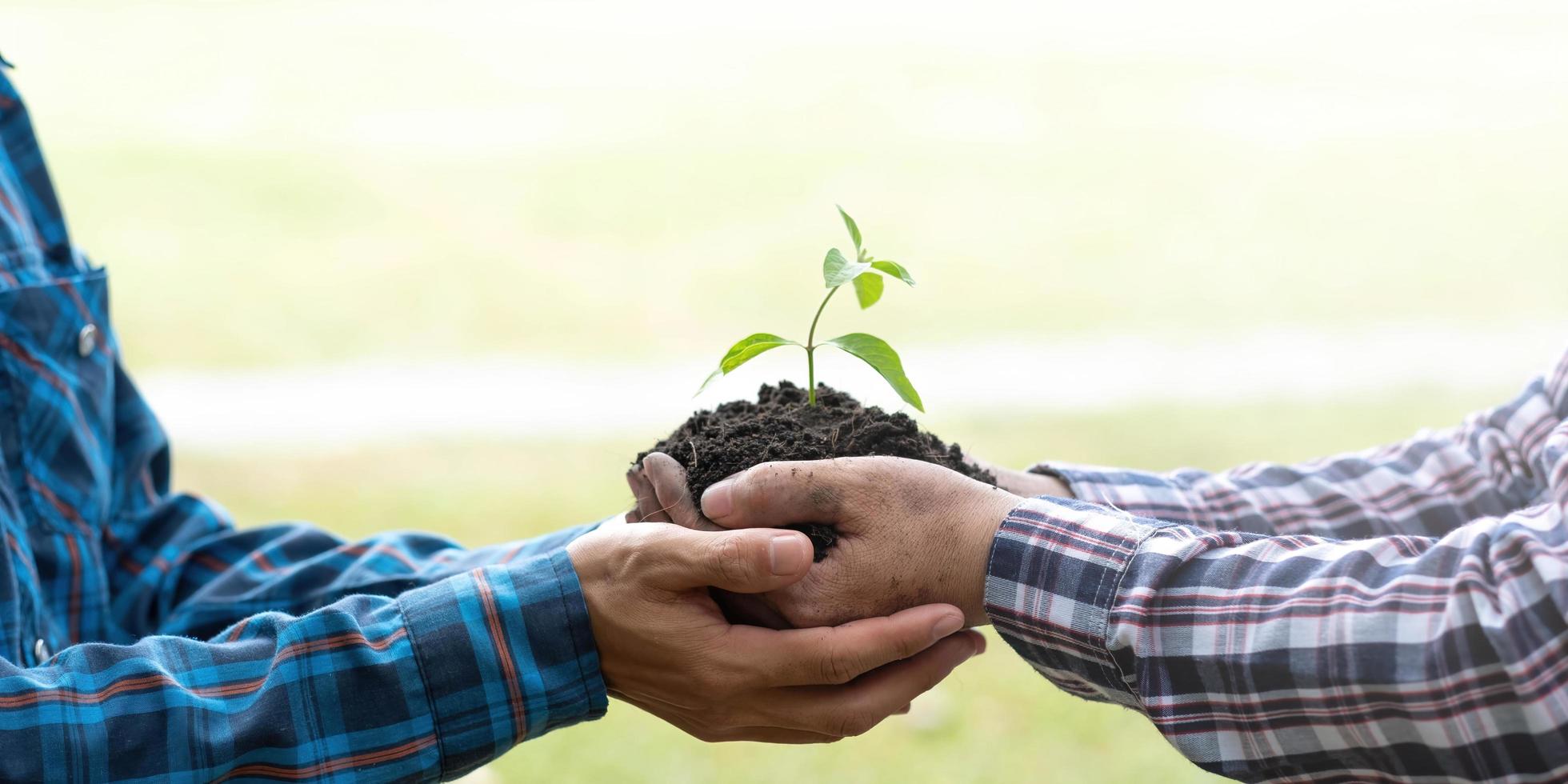 dos hombres están plantando árboles y regándolos para ayudar a aumentar el oxígeno en el aire y reducir el calentamiento global, salvar el mundo, salvar vidas y plantar un concepto de árbol. foto