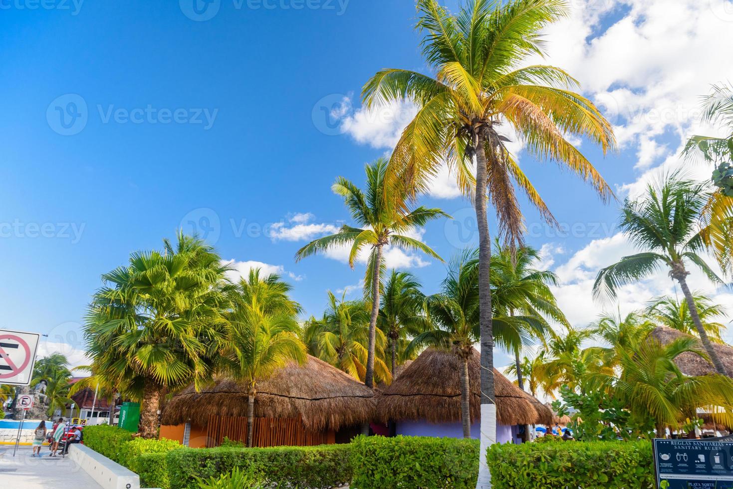 Bungalows in the shadow of cocos palms on the beach, Isla Mujeres island, Caribbean Sea, Cancun, Yucatan, Mexico photo
