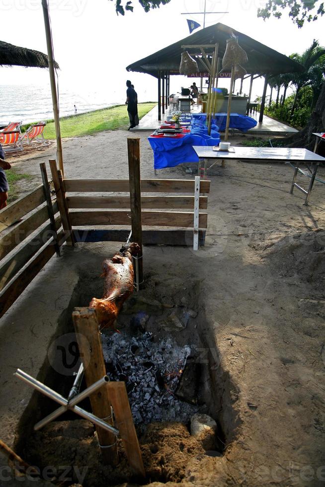 Asian Barbecue Pork-Pattaya photo