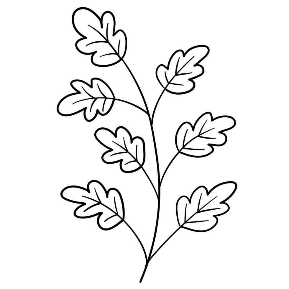 Doodle branch, cute and unusual leaves, can be used to decorate postcards, business cards or as a design element vector