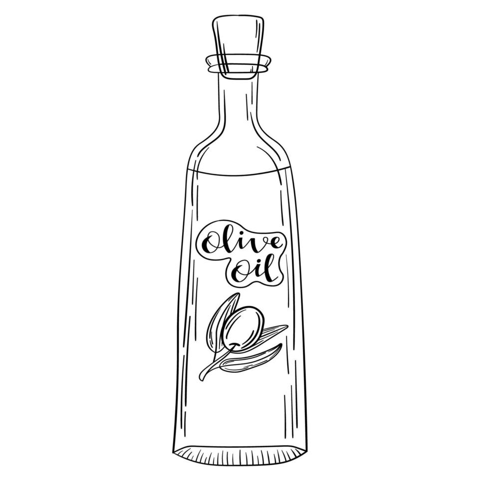 Freehand drawing of olive oil bottle vector