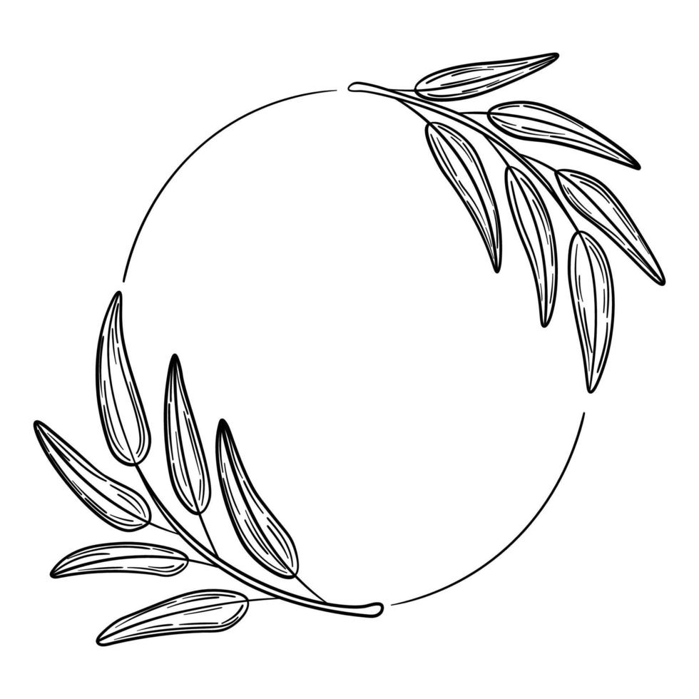 Hand drawn olive wreath, frame vector