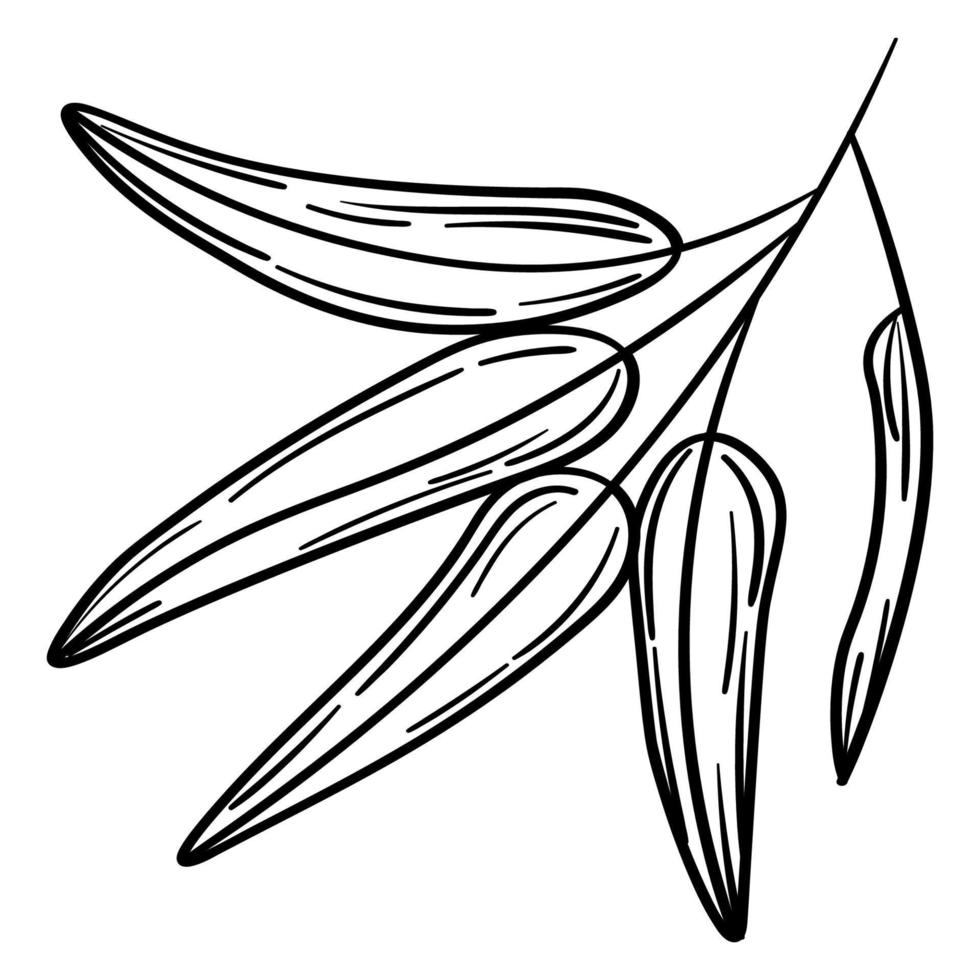 Hand drawn simple olive branch for your design vector