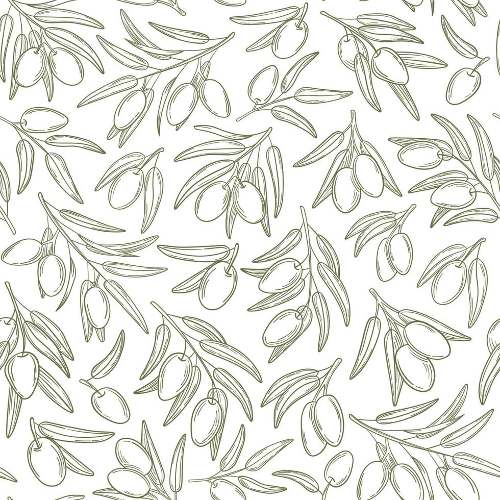 Simple olive pattern with twigs and berries vector