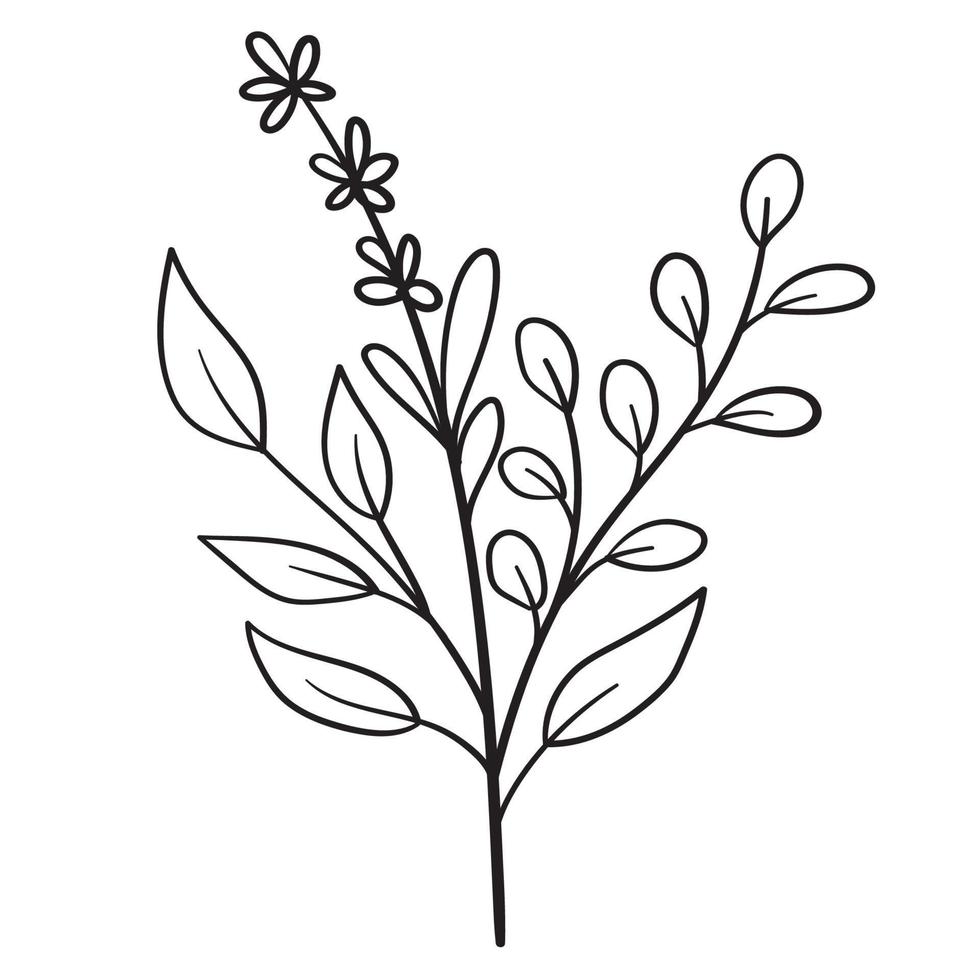 Doodle branch, cute and unusual leaves, can be used to decorate postcards, business cards or as a design element vector