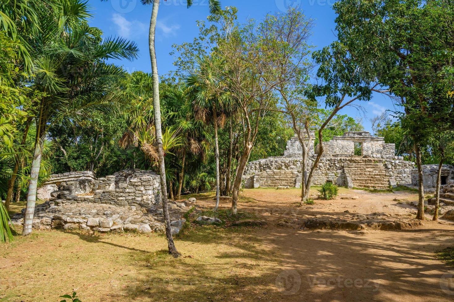 Mayan ruins in shadow of trees in jungle tropical forest Playa del Carmen, Riviera Maya, Yu atan, Mexico photo