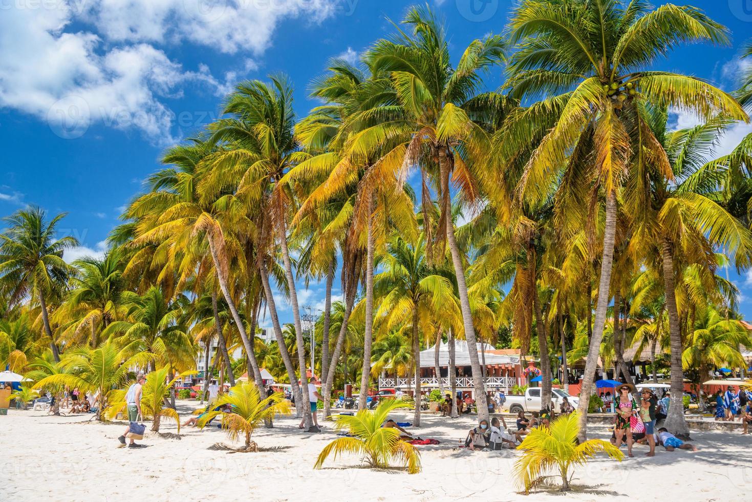 White sand beach with cocos palms, Isla Mujeres island, Caribbean Sea, Cancun, Yucatan, Mexico photo