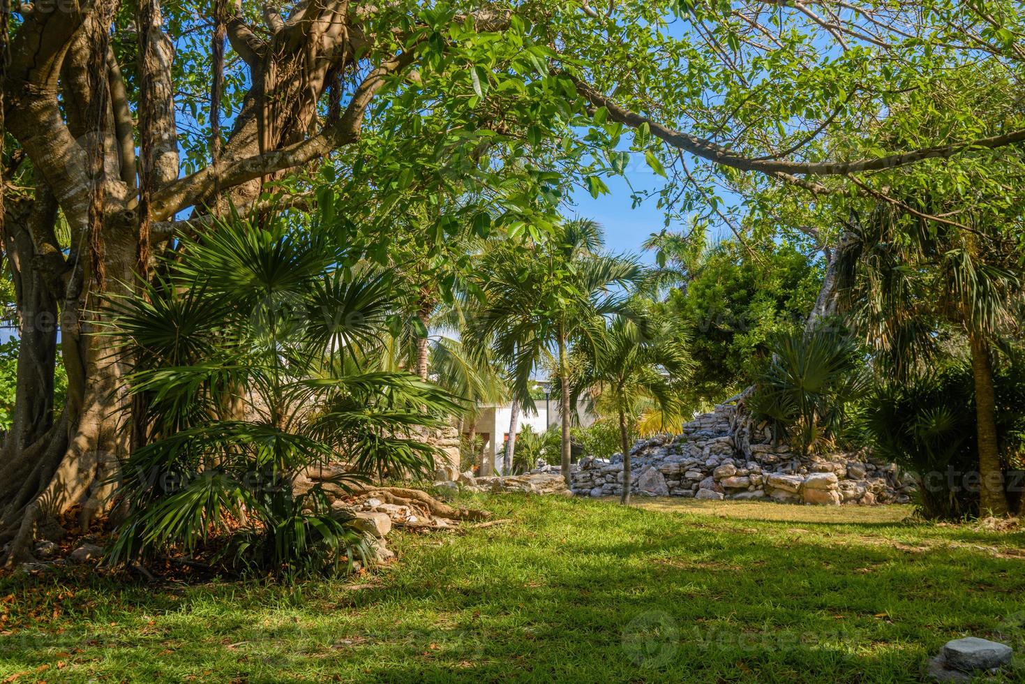 Playacar Mayan ruins in the forest park in Playa del Carmen, Yucatan, Mexico photo