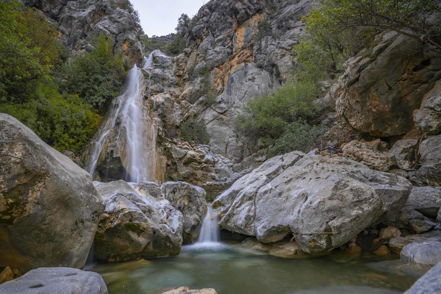 Mountain river stream waterfall green forest Landscape nature plant tree rainforest jungle photo