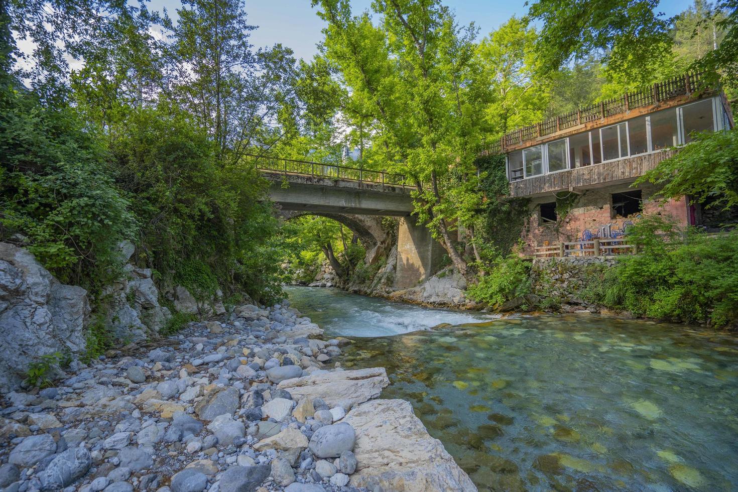 Mountain river stream waterfall green forest Landscape nature plant tree rainforest jungle photo