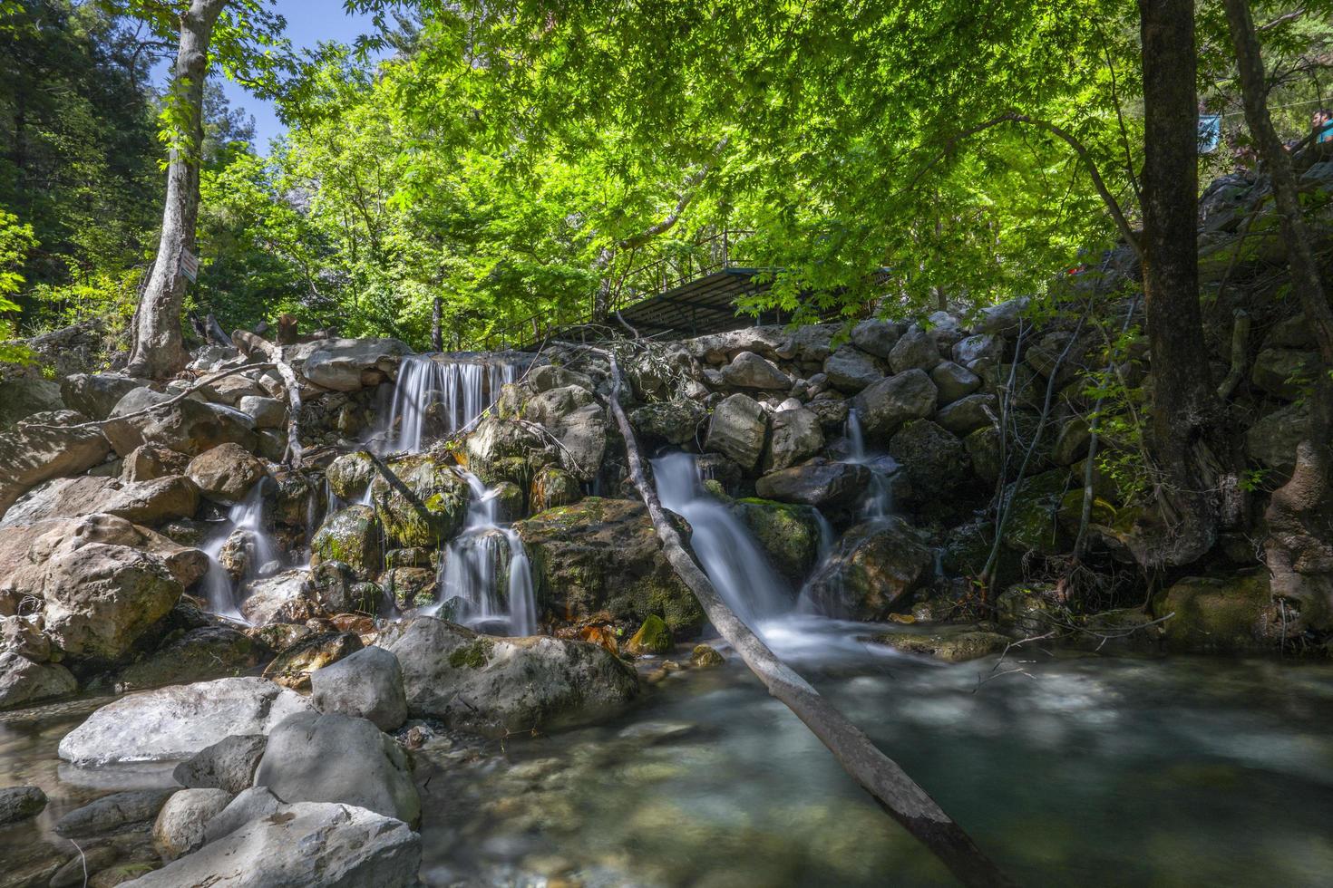 montaña río corriente cascada verde bosque paisaje naturaleza planta árbol selva selva foto