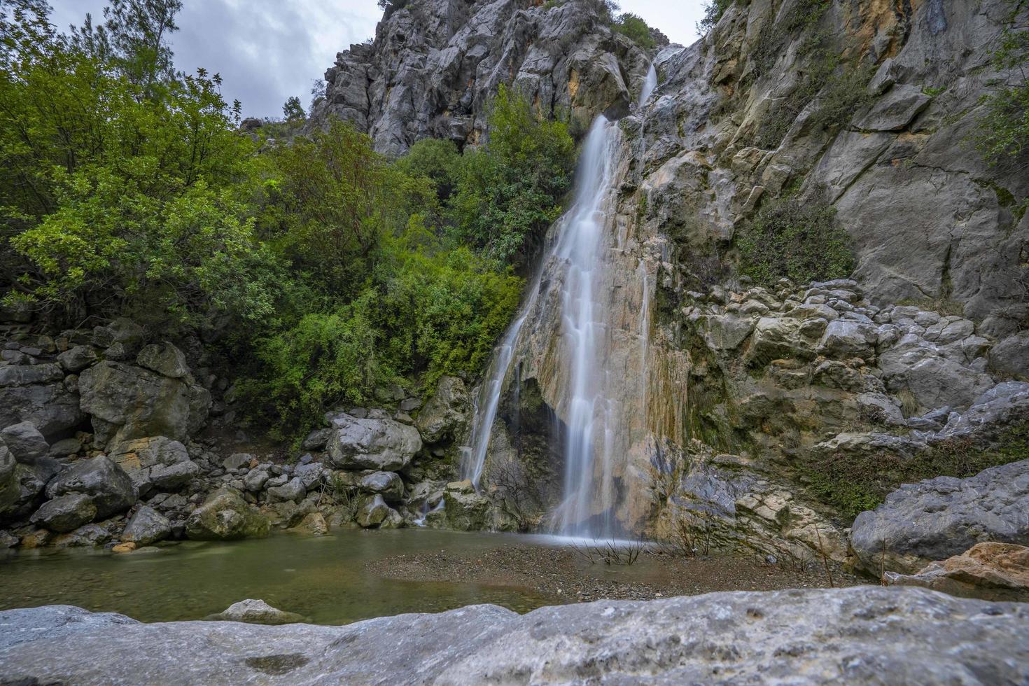 Mountain river stream waterfall green forest Landscape nature plant tree rainforest jungle photo