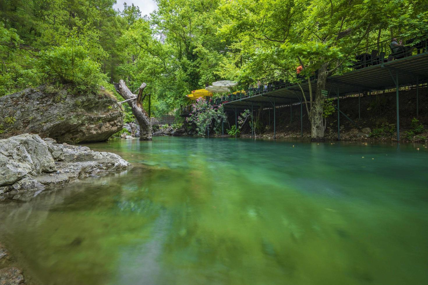 Mountain river stream waterfall green forest Landscape nature plant tree rainforest jungle photo