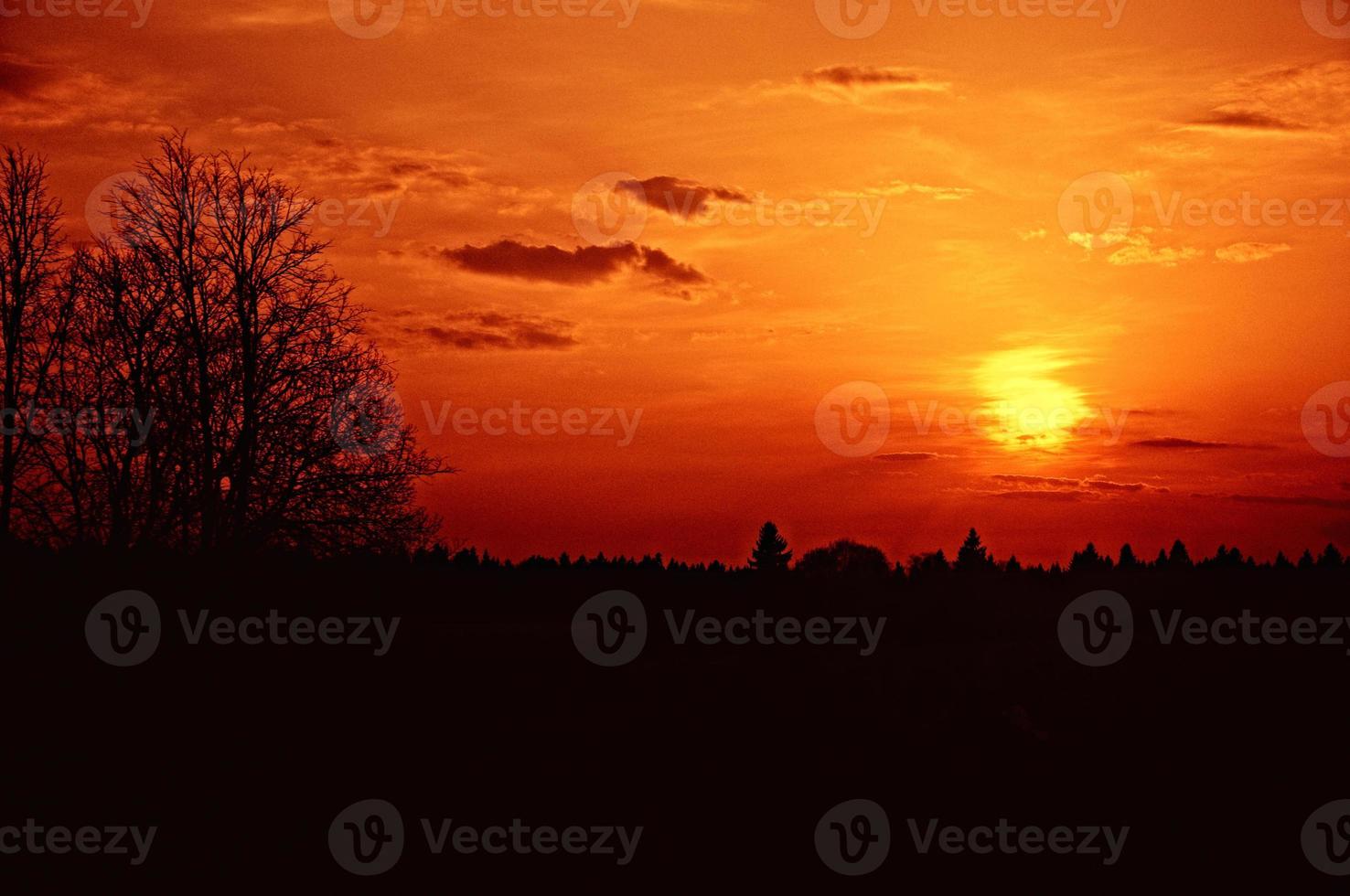 hermosa mística puesta de sol roja sobre el bosque foto